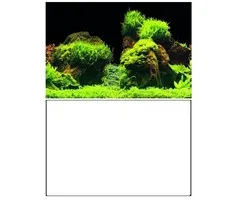Superfish Superfish Deco Poster E1 60x30 cm