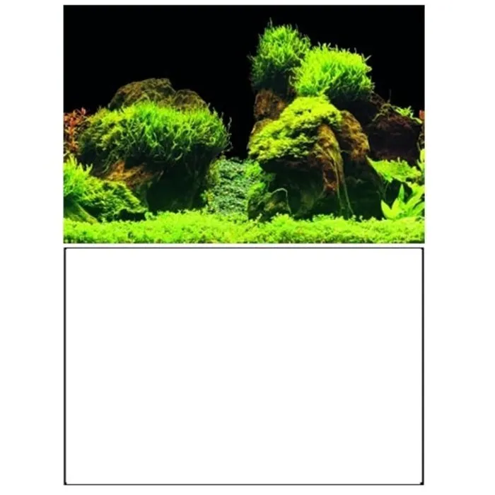 Superfish Superfish Deco Poster E1 60x30 cm