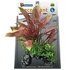 Superfish Superfish Deco Plant L Henkelianus