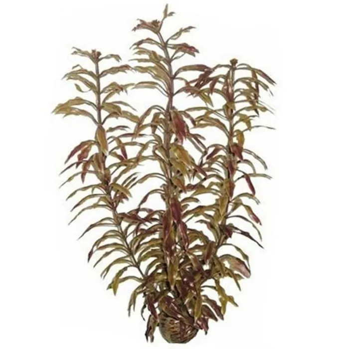 Superfish Superfish Easy Plant Hoog 30 cm Nr 3