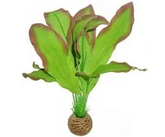 Superfish Superfish Easy Plant Hoog 30 cm Nr 18