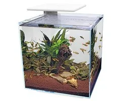 Superfish Superfish Qubiq 60 Pro wit