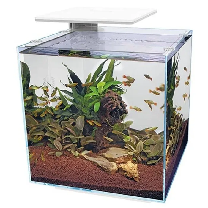 Superfish Superfish Qubiq 60 Pro wit