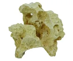 Blue Belle Pacific Blue Belle Pacific Rockin Moon Rockers 2