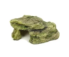 Blue Belle Pacific Blue Belle Pacific Moss Cave 1