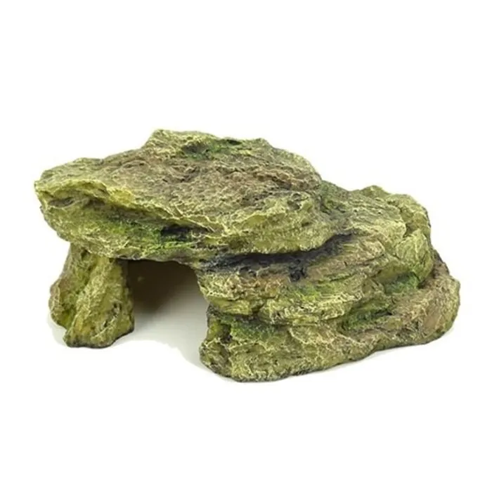 Blue Belle Pacific Blue Belle Pacific Moss Cave 1