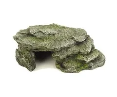 Blue Belle Pacific Blue Belle Pacific Moss Cave 2