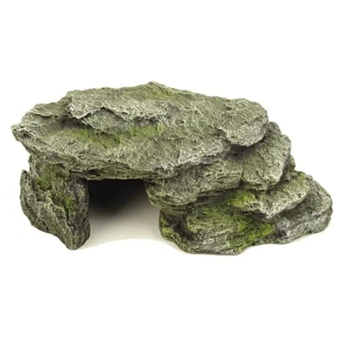 Blue Belle Pacific Blue Belle Pacific Moss Cave 2