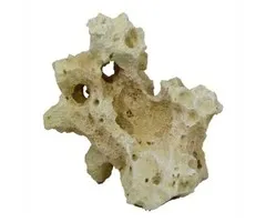 Blue Belle Pacific Blue Belle Pacific Asian Stone 2