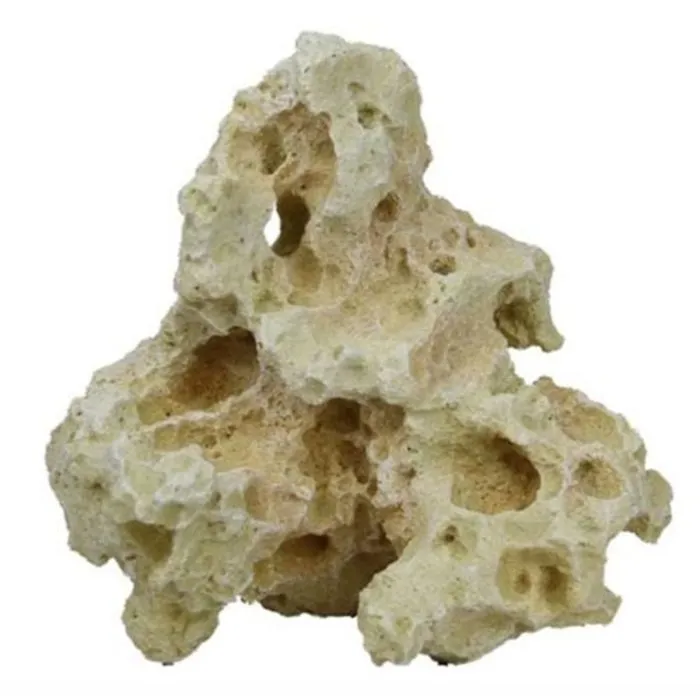 Blue Belle Pacific Blue Belle Pacific Asian Stone 4