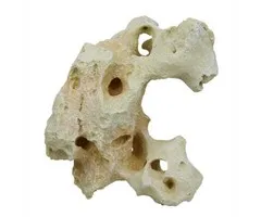 Blue Belle Pacific Blue Belle Pacific Asian Stone 5