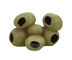 Blue Belle Pacific Blue Belle Pacific Stone Cave 5