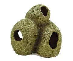 Blue Belle Pacific Blue Belle Pacific Stone Cave 4