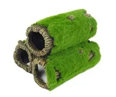 Blue Belle Pacific Blue Belle Pacific Mossy Rock S