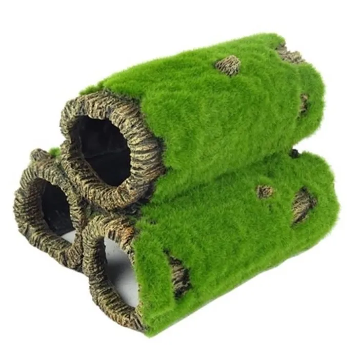 Blue Belle Pacific Blue Belle Pacific Mossy Rock S