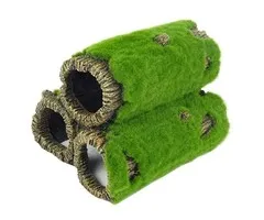 Blue Belle Pacific Blue Belle Pacific Mossy Rock M