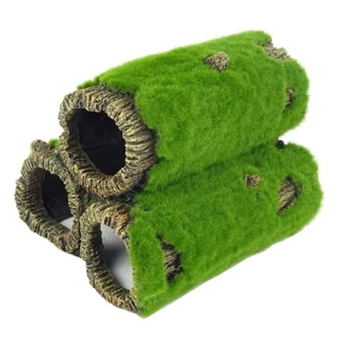 Blue Belle Pacific Blue Belle Pacific Mossy Rock M