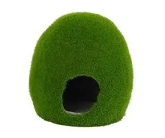 Blue Belle Pacific Blue Belle Pacific Mossy Hole M