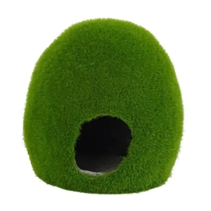 Blue Belle Pacific Blue Belle Pacific Mossy Hole M