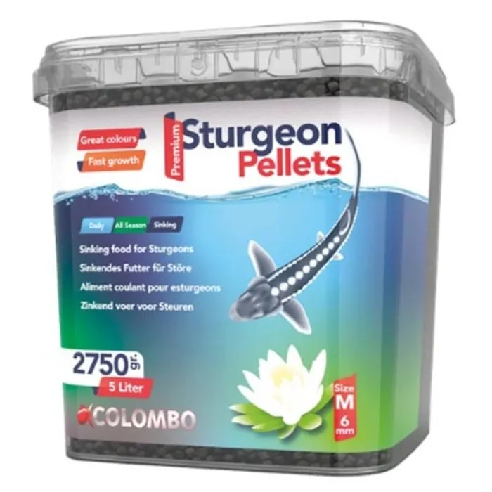 Colombo Colombo Steurvoer Large 5 Ltr