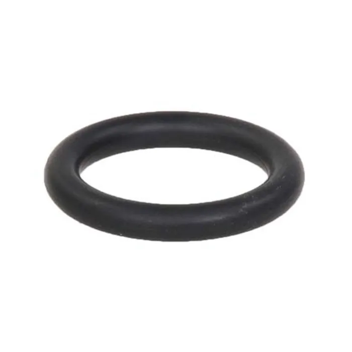 Bio UV O-ring  25 mm voor kwartsglas Bio-UV