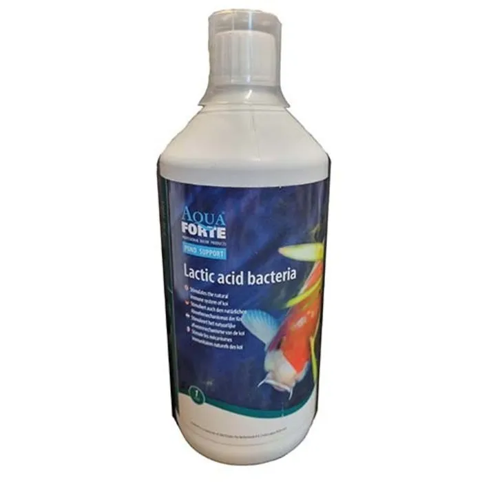 Aquaforte Aquaforte Melkzuur bacteriën 1 ltr