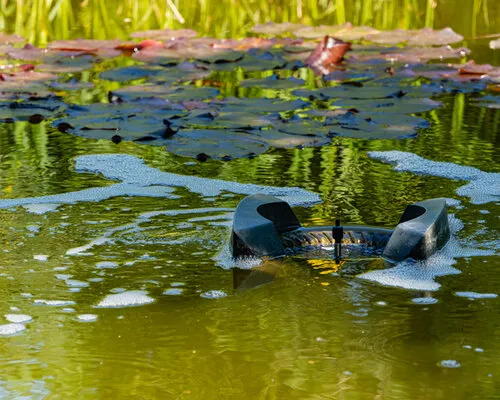 Alles over filtermateriaal voor de vijver
