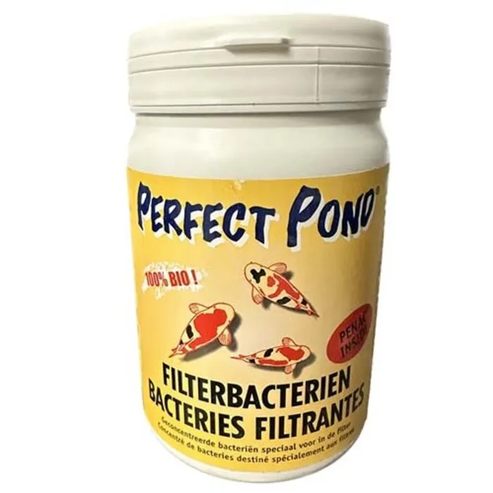 Perfect Pond Perfect Pond Filterbacteriën 1000 gram (actie)