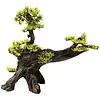Superfish Superfish Deco Bonsai L