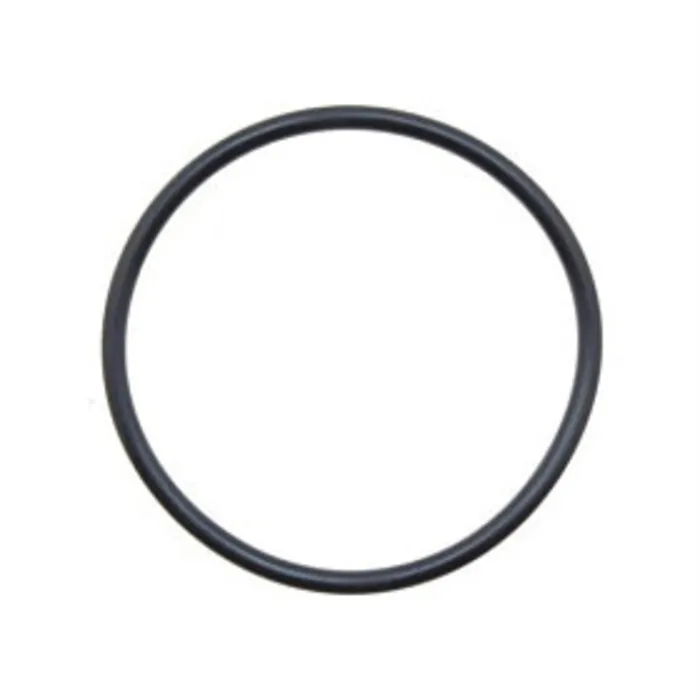 Aquaforte O-Ring Voor Pomphuis DM Vario 22.000 S