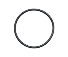 Aquaforte O-Ring Voor Pomphuis DM Vario 30.000 S