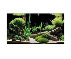 Superfish Superfish Deco Poster G3 100x49 cm