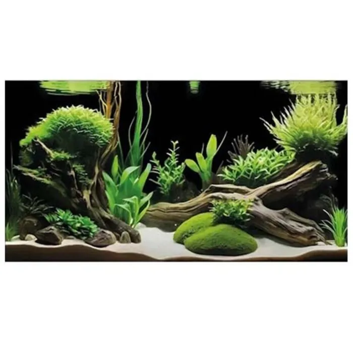 Superfish Superfish Deco Poster G3 100x49 cm