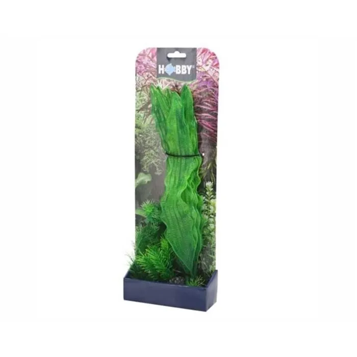 Hobby Hobby Plantasy Set 1