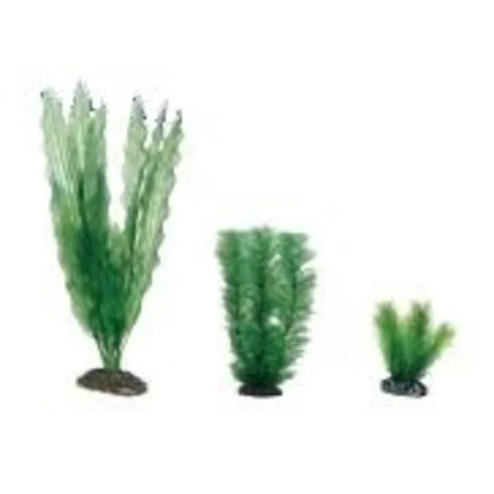 Hobby Hobby Plantasy Set 1