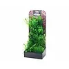 Hobby Hobby Plantasy Set 4