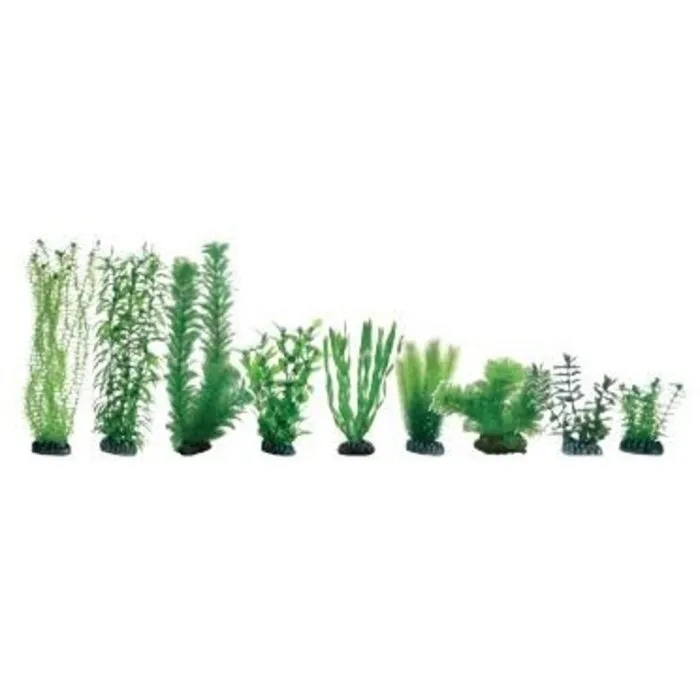 Hobby Hobby Plantasy Set 5