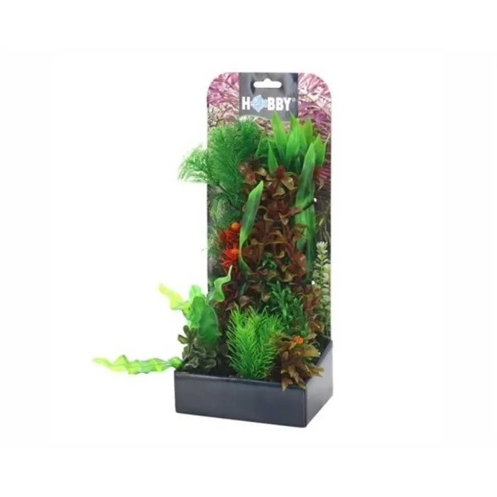 Hobby Hobby Plantasy Set 6