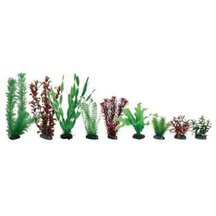 Hobby Hobby Plantasy Set 6