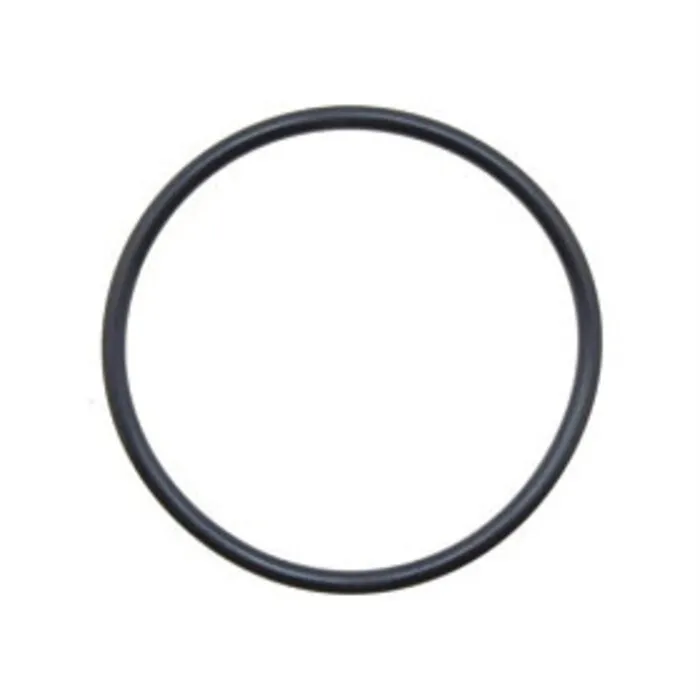 Aquaforte AquaForte DM-E 13.000 O-ring