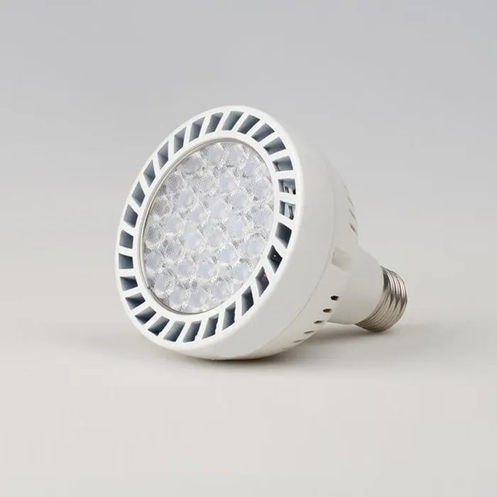 LED lamp PAR 30 dimbaar 11W