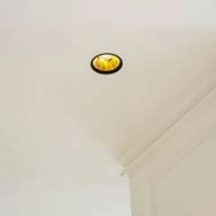 Spot goudkleurig zwart goud GU10 100mm diameter