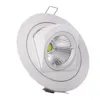 Kantelbare inbouwspot 10W LED zaagmaat 110mm