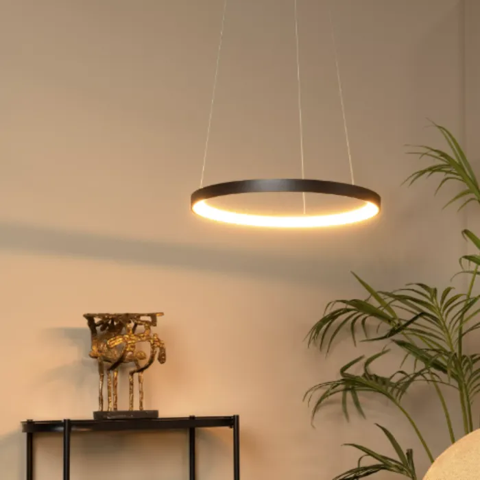 Hanglamp cirkel zwart boven de eettafel Ø 58 cm 48W