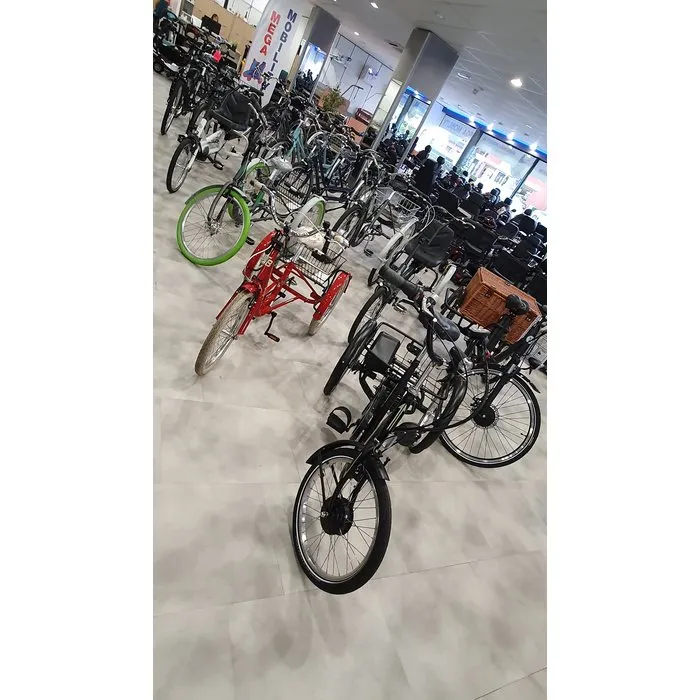 Driewielfietsen en tandems.