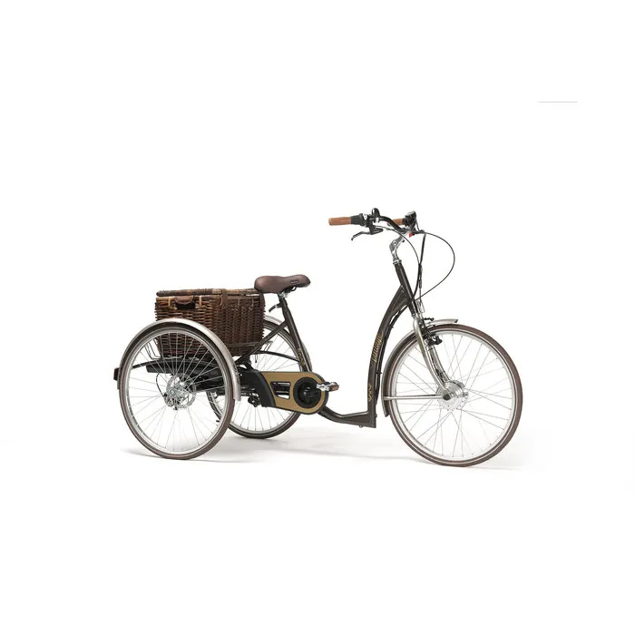 Vermeiren 2219E Vintage elektrische driewielfiets