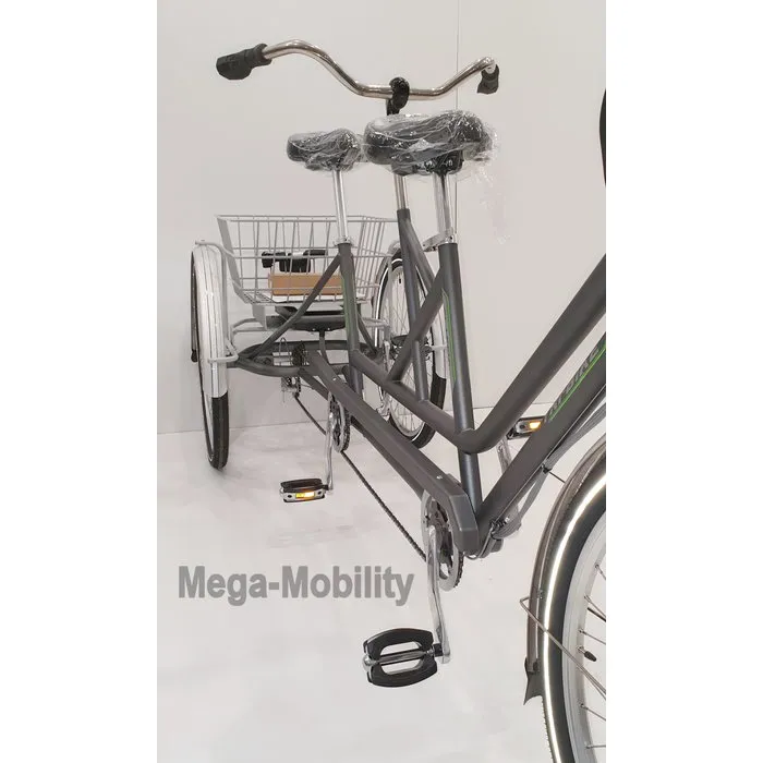 Tri-bike Driewieltandem