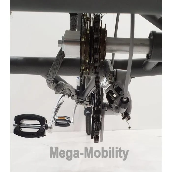 Tri-bike Driewieltandem