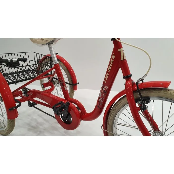 Tri-bike FROGGY Kinderdriewielfiets