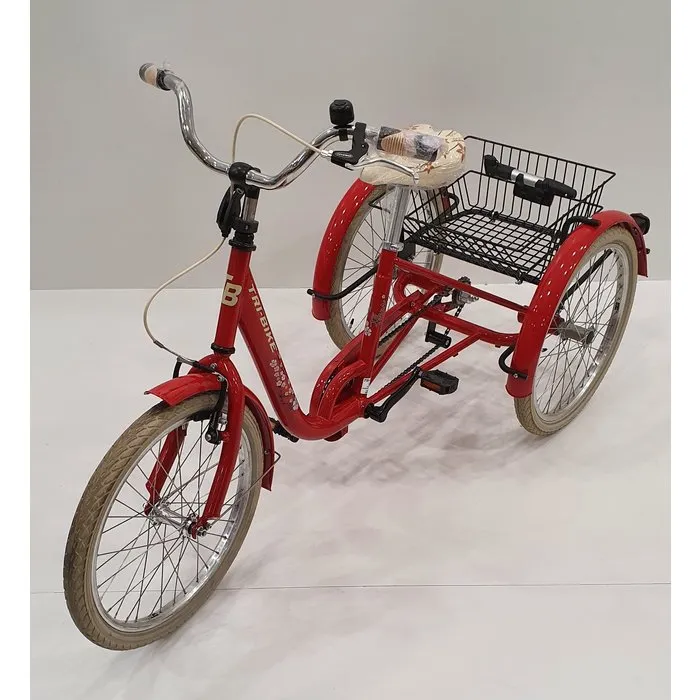 Tri-bike FROGGY Kinderdriewielfiets